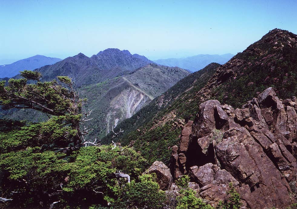 土居三山