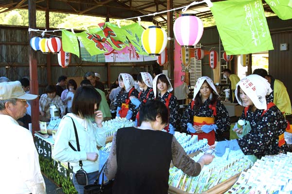 霧の森お茶まつり