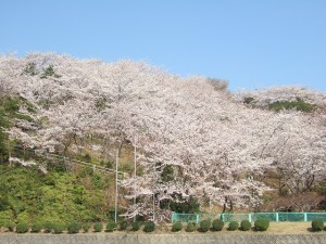 向山公園