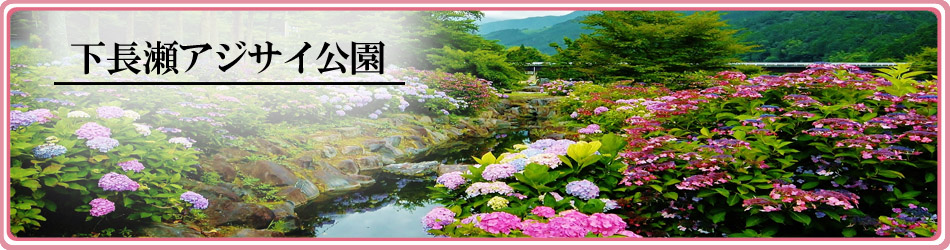下長瀬あじさい公園