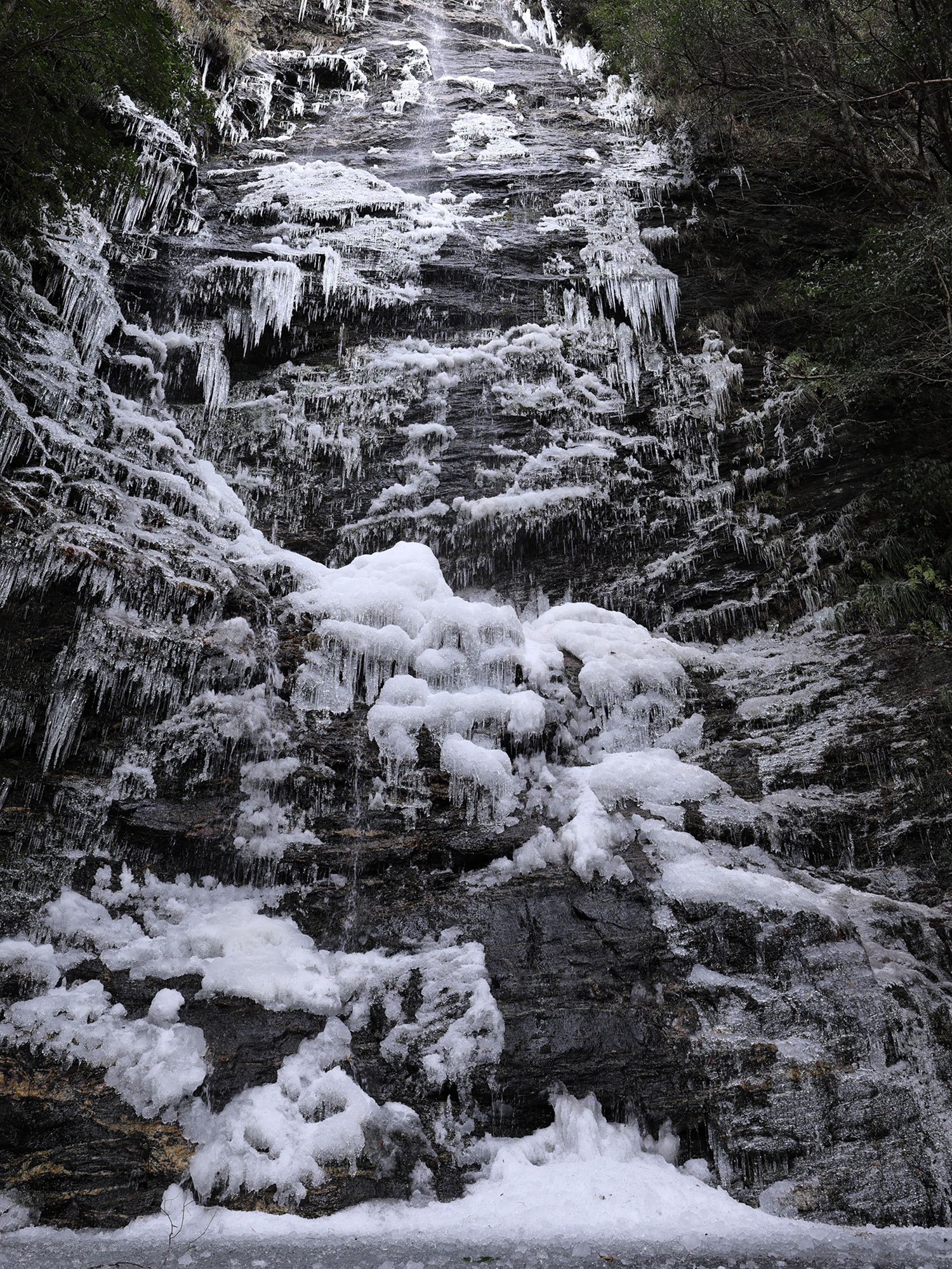 四国中央フォトコンテストのイメージ