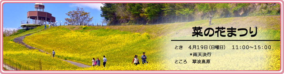 菜の花まつり